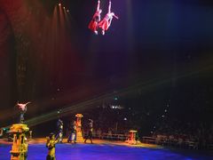 -珠海横琴长隆《卡卡虎奇遇记》