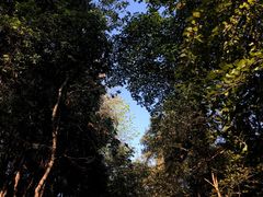 -潜山国家森林公园