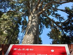 -终南山南五台景区