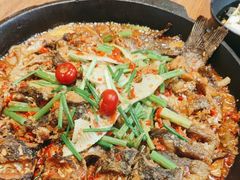 -老板恋上鱼(恒隆广场店)