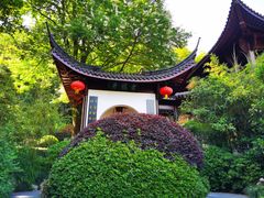 -十八棵（老龙井）御茶园(老龙井店)