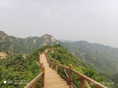 -大岭沟猕猴桃谷风景区