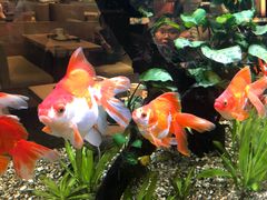 -大家乐(广州荔湾领展广场店)