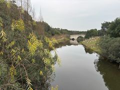 -眉山湿地公园(东坡区)
