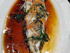 -頂好酒家·经典粤菜(海信广场店)