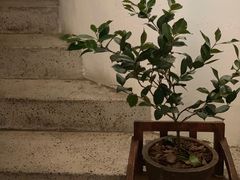 -花迹(富春江东街店)
