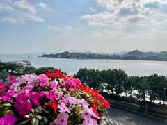 景观位-鹭江宾馆·观海餐厅