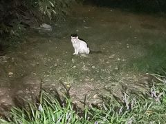 -上海仁爱医院口腔科 · 种植