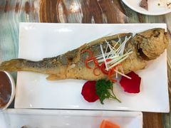 -椿记烧鹅(叠彩店)