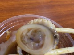 白灼章鱼-铭聚章鱼土笋冻(松柏店)