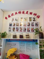 -香薇妮丝·定制减肥·身材管理