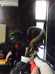 点击看大图 店内环境-新肤洗纹身