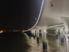 -演武大桥观景平台