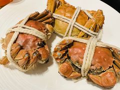 -苏州苏州湾艾美酒店-新食谱全日制餐厅