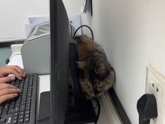 -中农大我爱我爱动物医院·核磁CT·猫病·24小时夜诊中心(石佛营店)