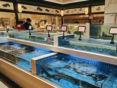 -渔人码头(中南店)