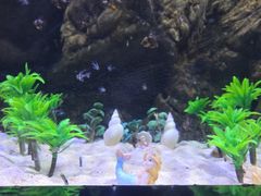-南昌融创海世界
