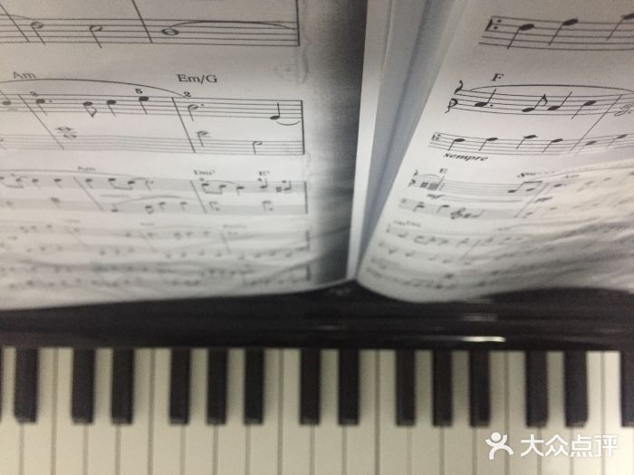 梅纳·钢琴声乐架子鼓Mena Music(双井店)图片
