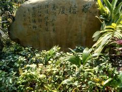 -晓港公园