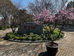 -上海海湾国家森林公园