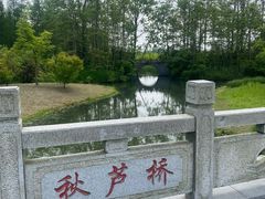 -溱湖国家湿地公园