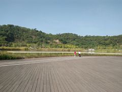 -飞凤山奥体公园