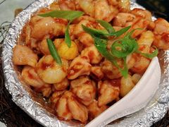 -丁老爷子苏香圆