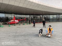 -哈尔滨大剧院