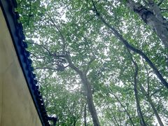 -1912街区