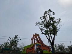 -季高兔窝窝亲子园(上海薰衣草公园店)