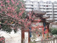 -乌山风景区
