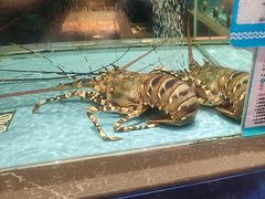 -阿伟海鲜楼·福建菜(延寿店)