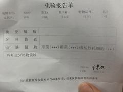 -爱侣宠医·鹦鹉专科·小型哺乳类·异宠专科(灵石路店)