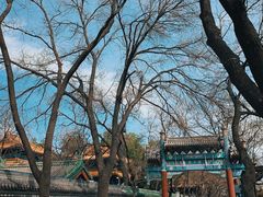 -北京国子监胡同