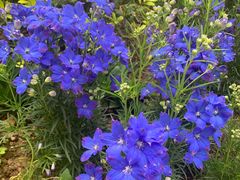 -花溪公园
