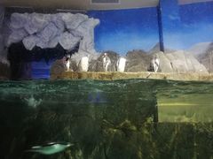 -成都浩海立方海洋公园