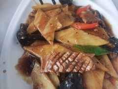 -云中小雅