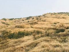 -东极岛景区