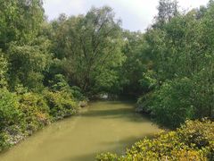-大亚湾红树林城市湿地公园