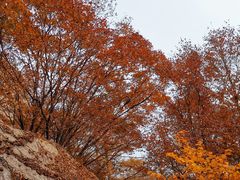 -崂山巨峰游览区