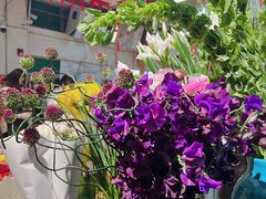 -双季花艺园艺市场(浦东店)