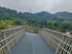 -福道