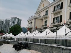-烟台海昌鲸鲨海洋公园