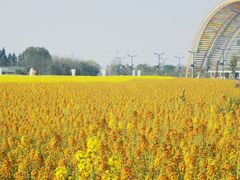 -中国天府农业博览园