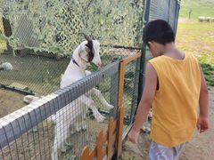 -潭柘厚院&山顶烤肉(潭柘寺店)