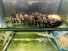-龙湾海鲜渔村餐厅(亚龙湾店)