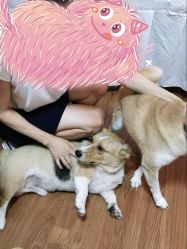 -就是个做半永久的地方·纹眉眼线