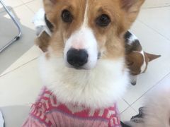 -怪兽屋·羊驼·猫咖·狗咖(俊华广场店)