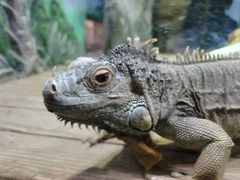 -石家庄市动物园