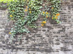 -容闳故居遗址展示馆